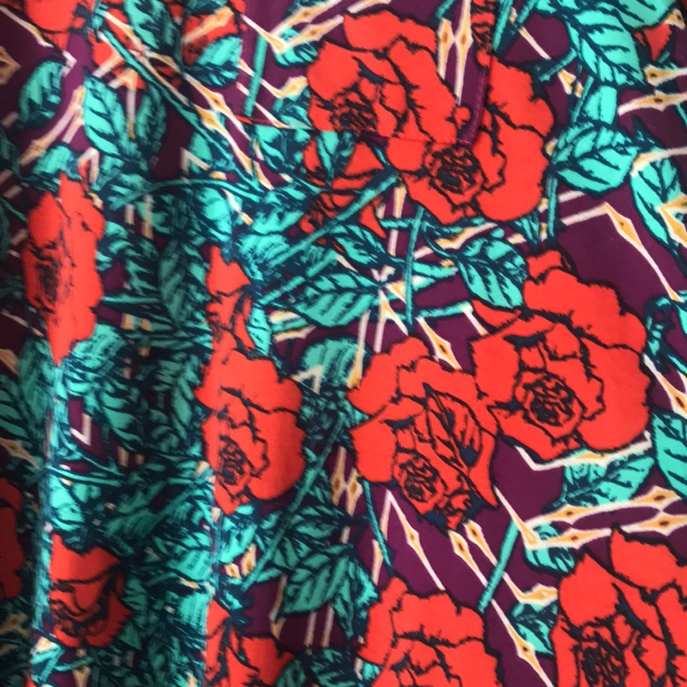 Gorgeous LLR Carly Roses - Picture 4 of 4